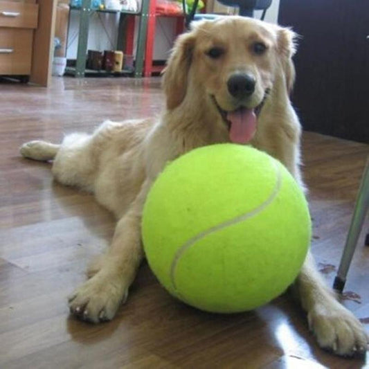 Dog Tennis Ball - Sports and Fitness Upgrade